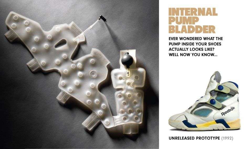 3-bladder-1.jpg 3-bladder-1.jpg