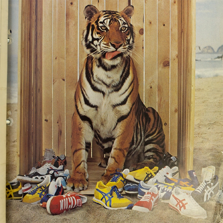 ASICS Onitsuka Tiger 6.jpg